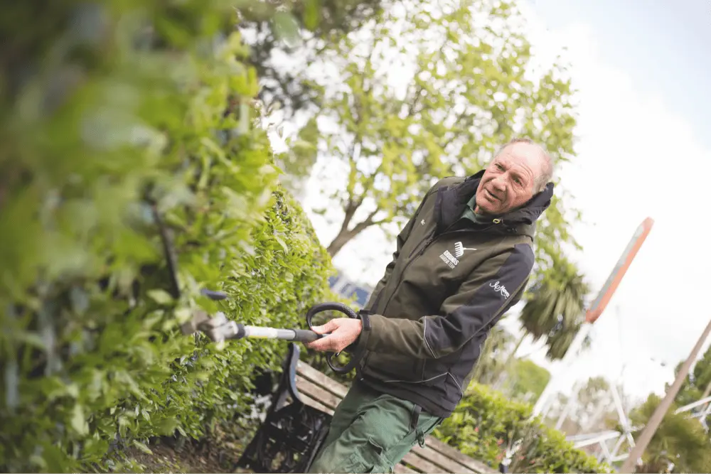A groundskeeper in a green jacket using a pole hedge trimmer to trim a tall hedge in a park.