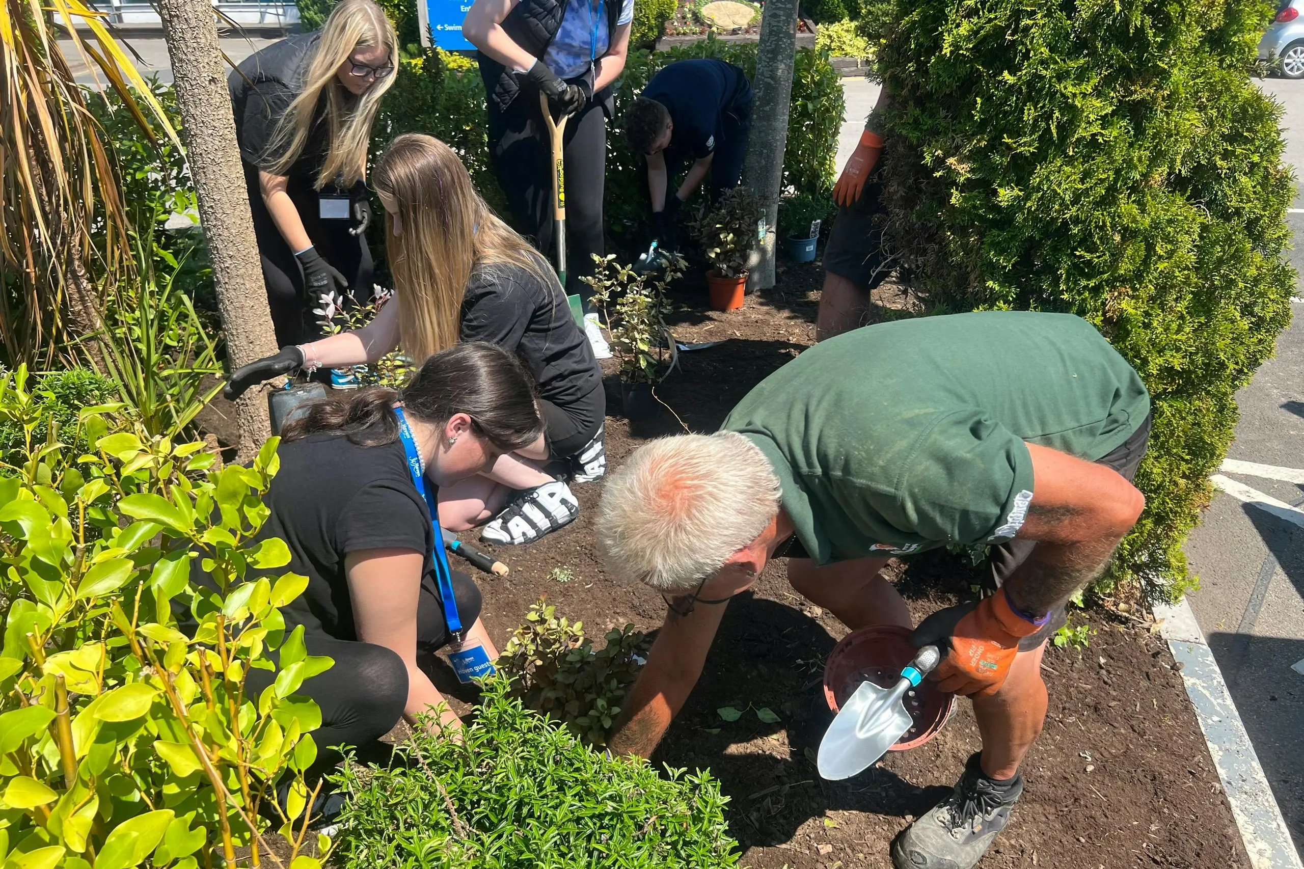 A group of volunteers planting shrubs and gardening in a flower bed on a sunny day.