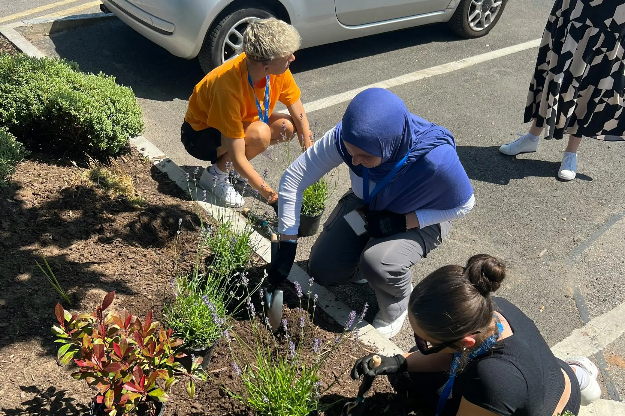 Three volunteers plant flowers in a parking lot garden bed next to a silver car.