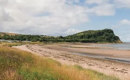 A sandy beach with green grassy foreground and a forested headland in the background under a cloudy sky.