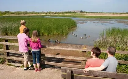 A family stands on a wooden viewing platform looking at ducks swimming in a wetland marsh.