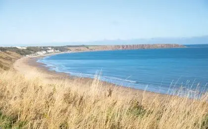 A wide sandy beach meeting a calm blue sea under a clear sky, viewed past tall dry grass on a coastal hill.
