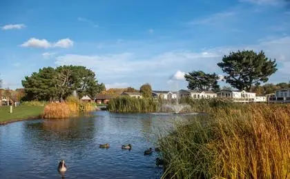 A serene lake with ducks and a fountain, surrounded by lush greenery and holiday lodges under a blue sky.